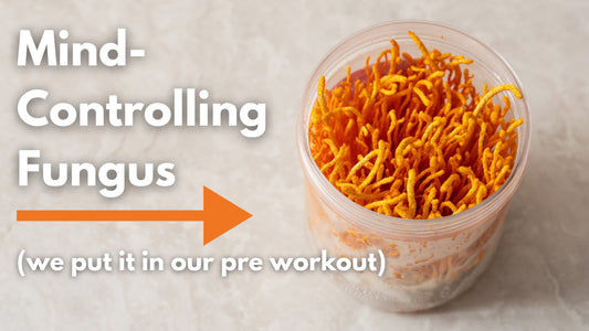 Cordyceps mushroom supplement for energy and focus in the gym